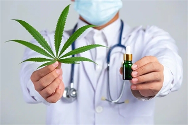 Medical Cannabis: Exploring Its Potential in Modern Healthcare
