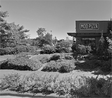 MOD Pizza few paces to the northeast of Redmond Ridge Pediatric Dentistry