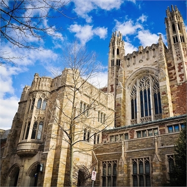 Yale University located 5.4 miles to the north of New Haven's top cosmetic dentist Shoreline Dental 