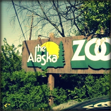 Alaska Zoo 7.9 miles to the south of the best Anchorage sedation dentist Anchorage Midtown Dental Ce