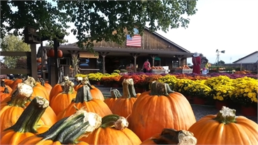 Donaldson Farms Farm Market at 10 minutes drive to the northwest of Long Valley dentist Cazes Family