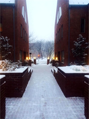Courtyard in winter at Alonzo M. Bell DDS office in Alexandria VA