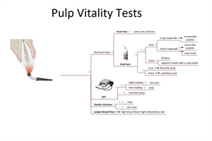 Pulp Vitality Tests