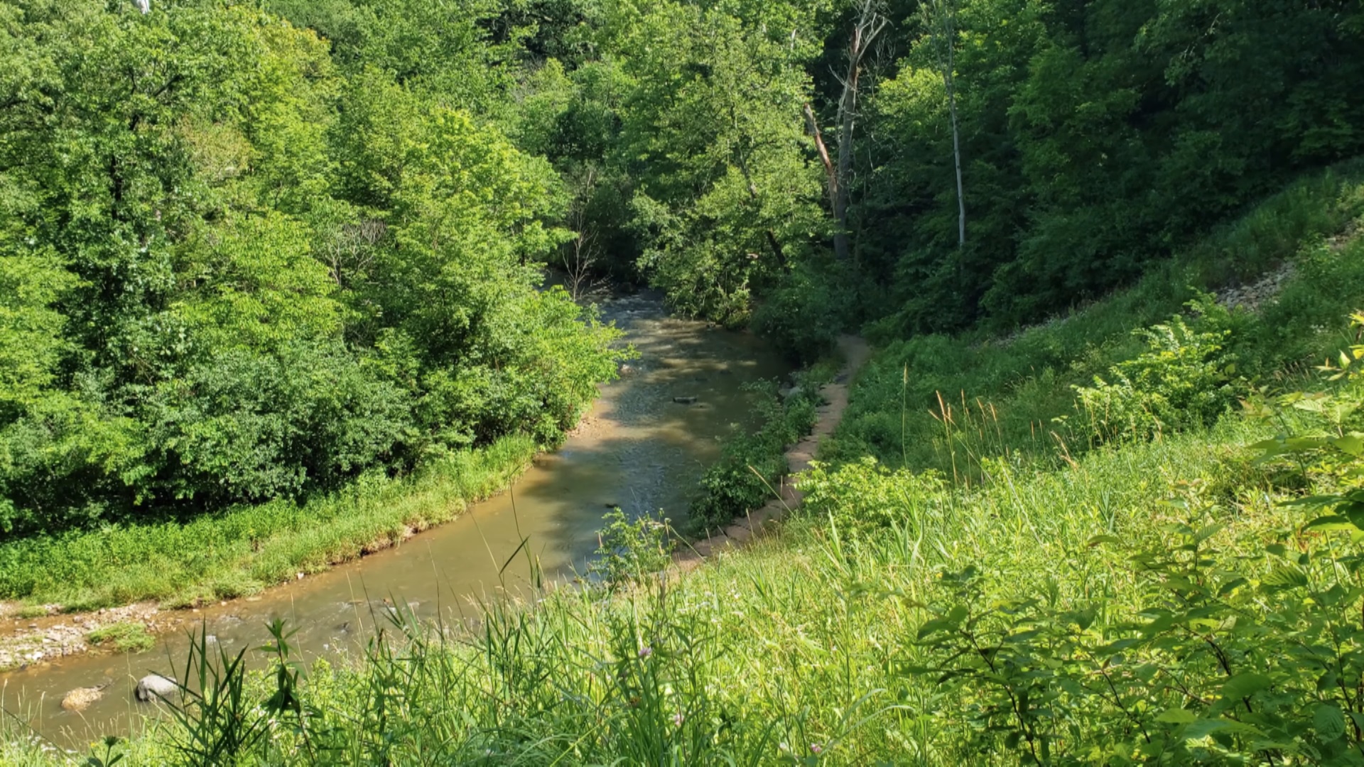 Waterfall Glen Forest Preserve 14 minutes drive to the north of ...