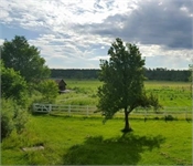 White Mountain Periodontics