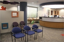 Bay Area Kids Dentist Sunnyvale