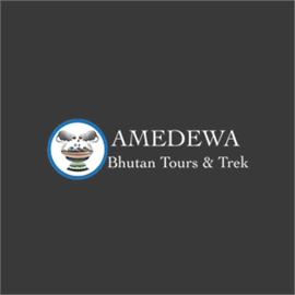 Amedewa Tours and Trek