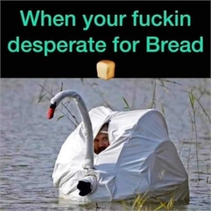 When you are desperate for bread