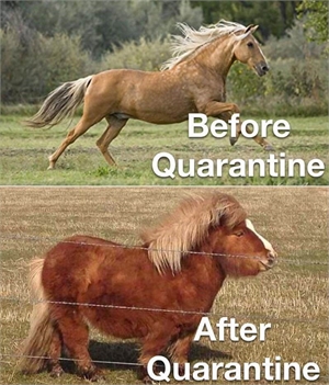 Before and after quarantine