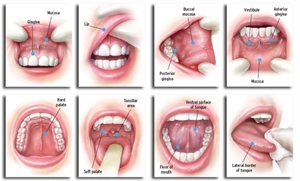 Oral cancer screening