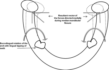 Mandibular Flexure