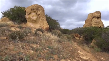 Chatsworth Oaks Park at 5 minutes drive to the southwest of Chatsworth Dental Group