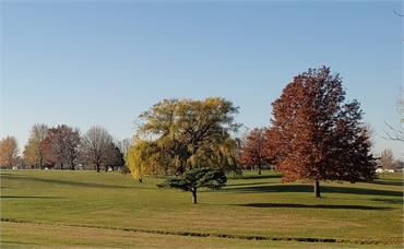 Rustic Ridge Golf Course at 8 minutes drive to the south of Eldridge dentist Park View Dental