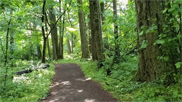 Graham Oaks Nature Park Wilsonville Oregon 1-37 screenshot