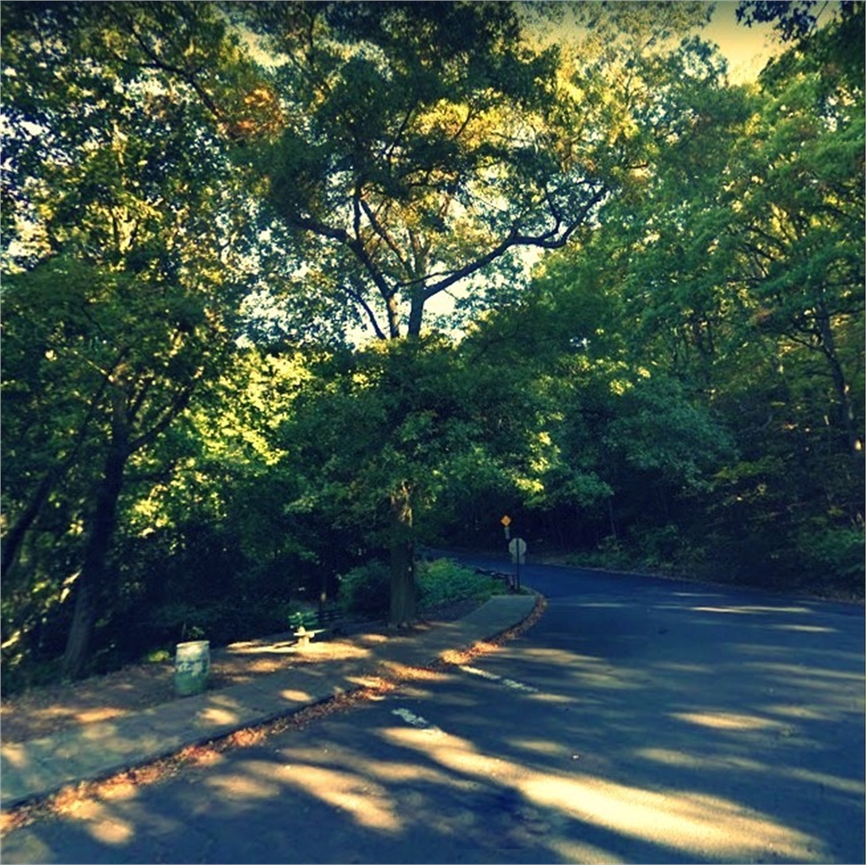 East Rock Park located near top New Haven dentist Shoreline Dental Care