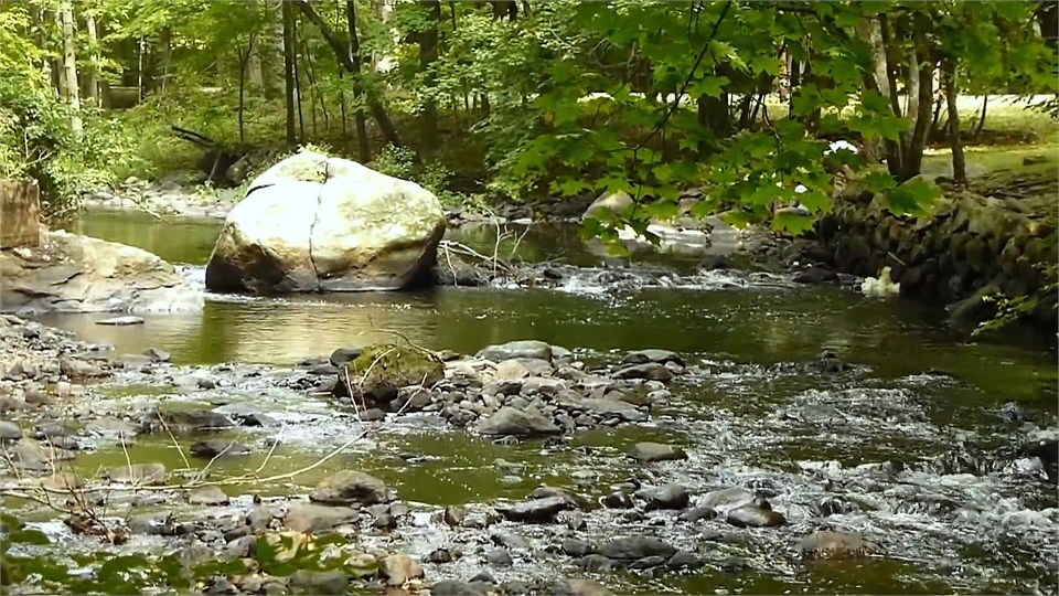 Stephens State Park 12 minutes drive to the north of Hackettstown dentist Cazes Family Dentistry LLC