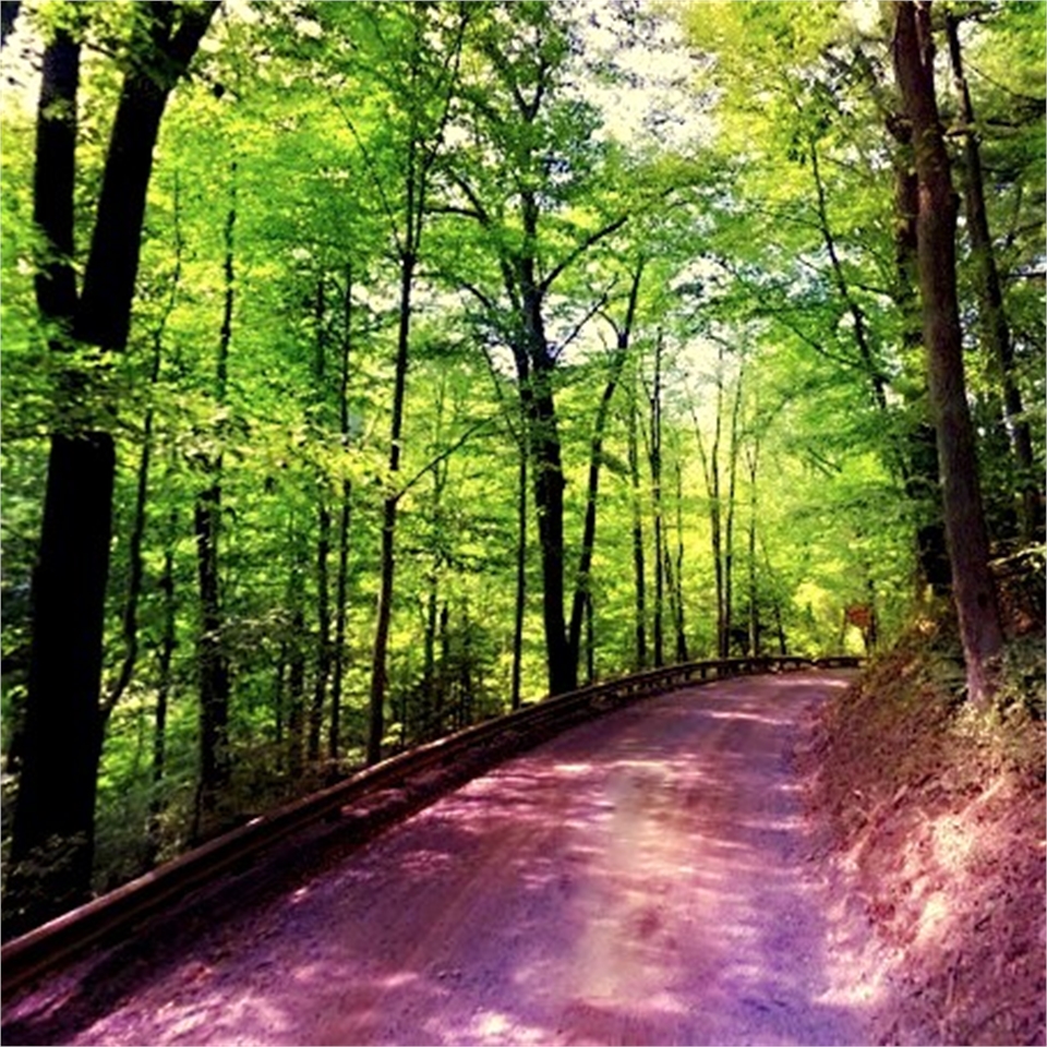 Hacklebarney State Park at 15 minutes drive to the south of Long Valley dentist Cazes Family Dentist