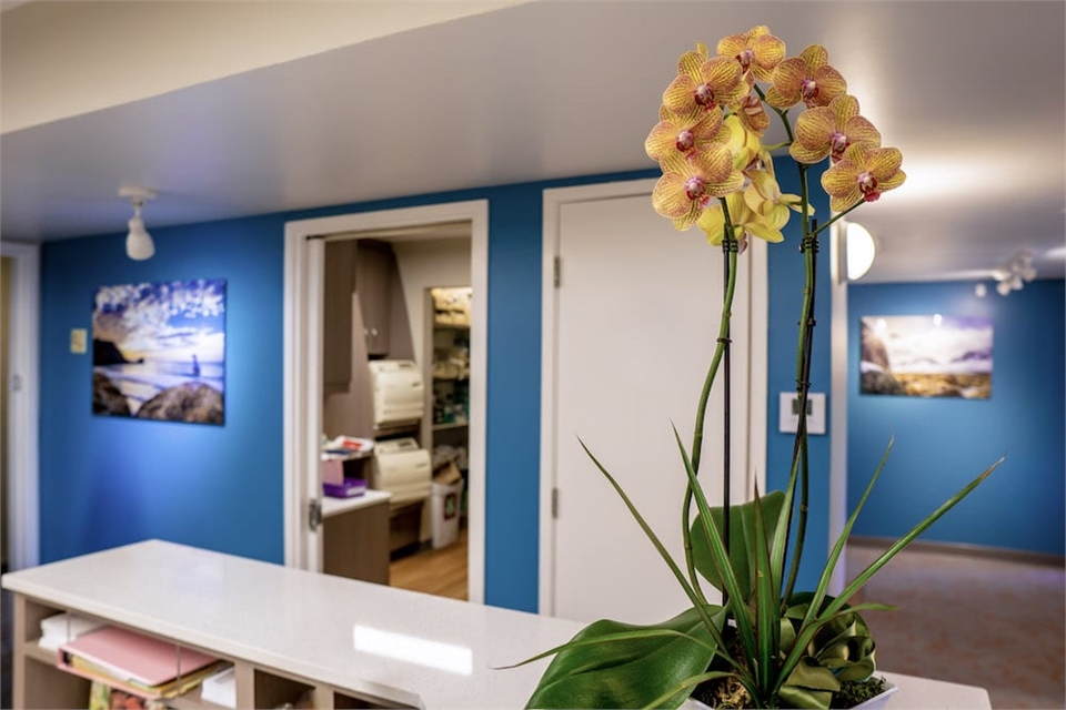 Reception area at Cabrillo Family Dental Care