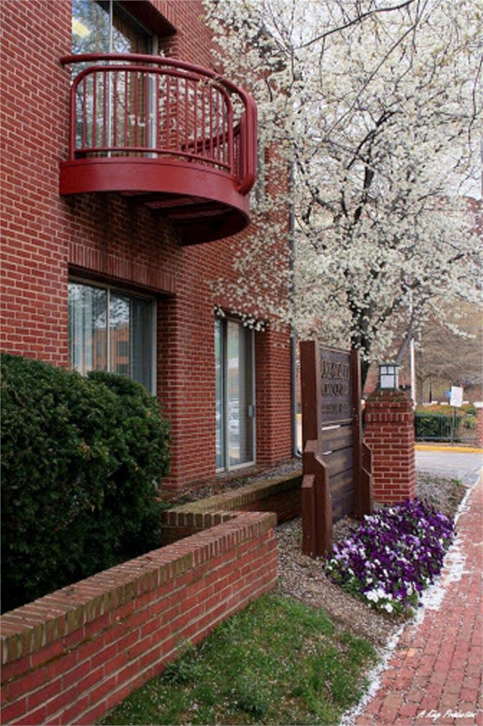 beautiful view just outside our dental office in Alexandria VA