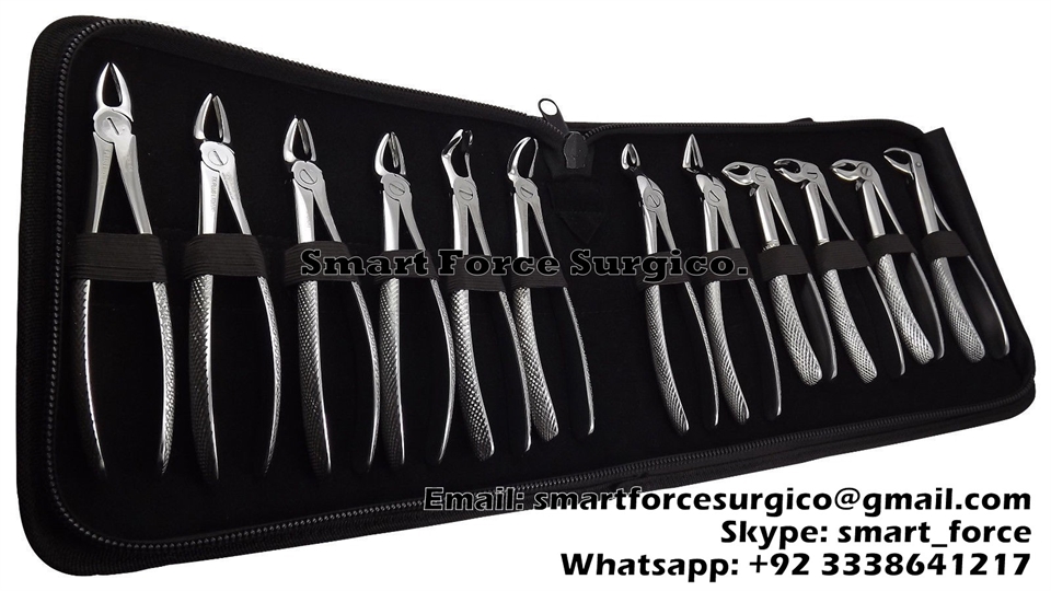 Extracting Forceps - Set of 12