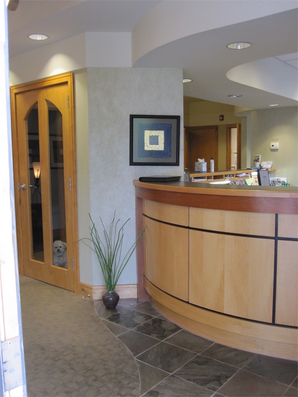 Reception area at Asheville Smiles Cosmetic and Family Dentistry