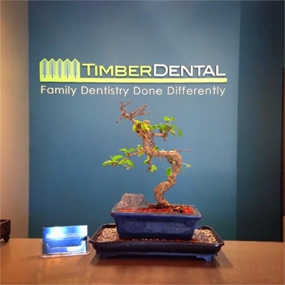 Bonsai tree at Timber Dental Portland OR 97212