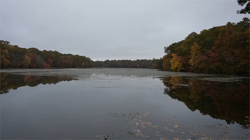 Walking around Stump Pond - Blydenburgh Park 0-22 screenshot