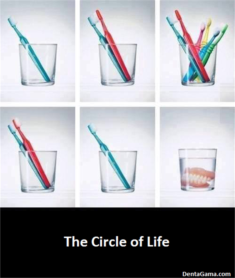 The Circle of Life