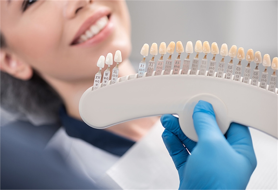 Dental Veneers in New Port Richey