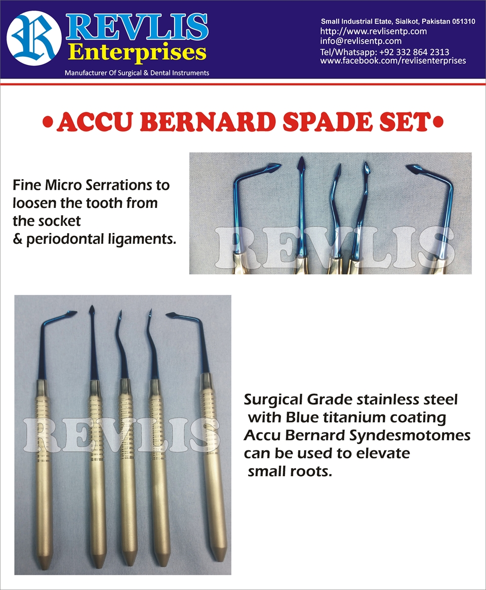 Bernard Spade kit