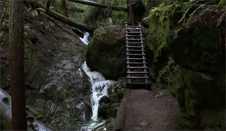 Mount Tamalpais State Park at 11 minutes drive to the southwest of Strawberry Village Dental Care Mi