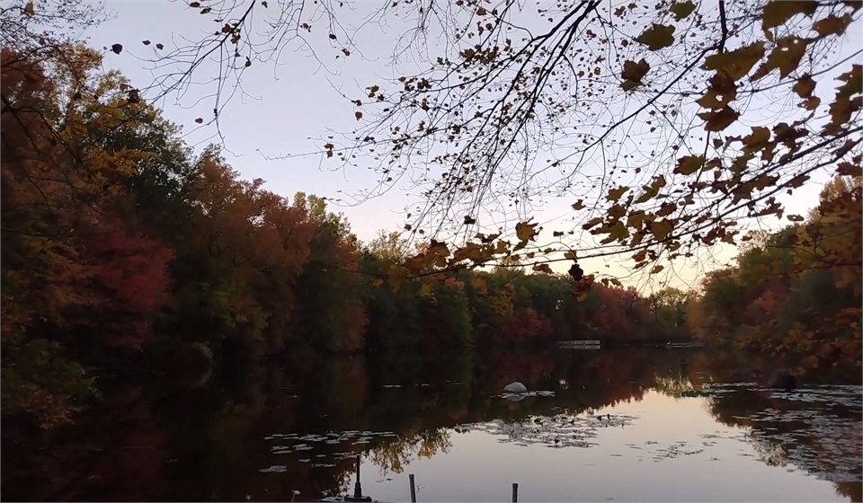 Tenafly Nature Center at 4 minutes drive to the east of East Madison Dental