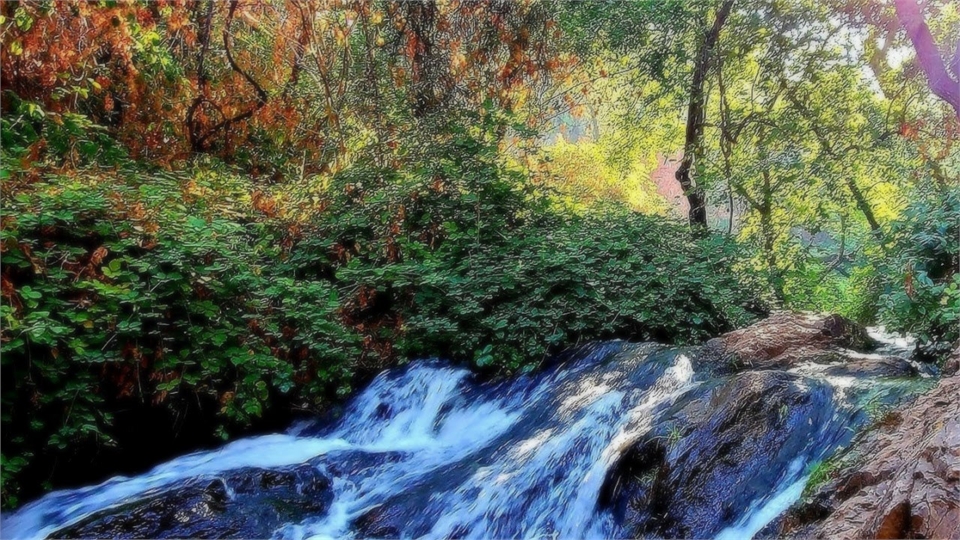 Hidden Falls Regional Park at 13 ninutes drive to the noryhwest of Pier 210 Dental Group