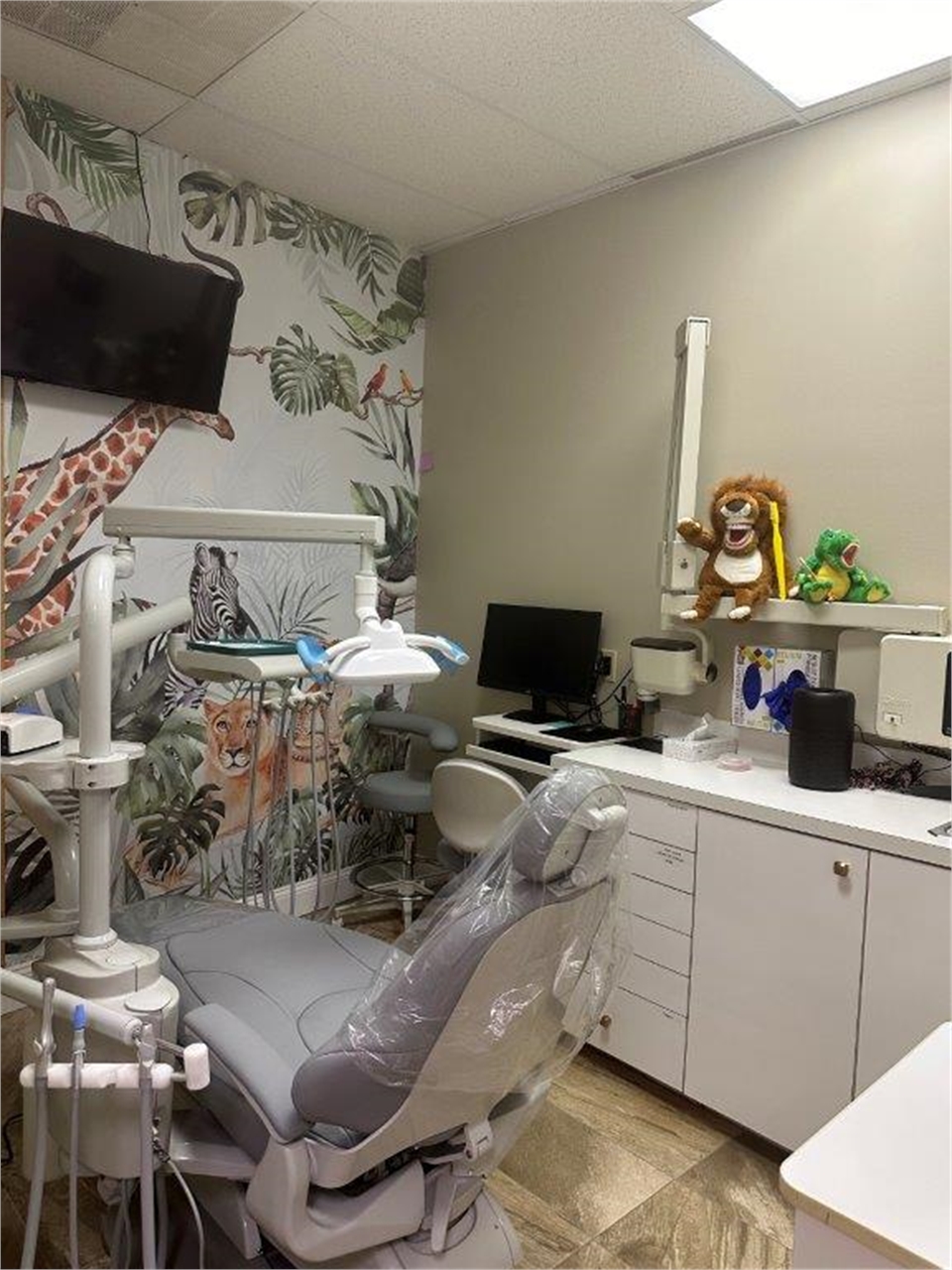 Jungle themed operatory at First Street Smiles