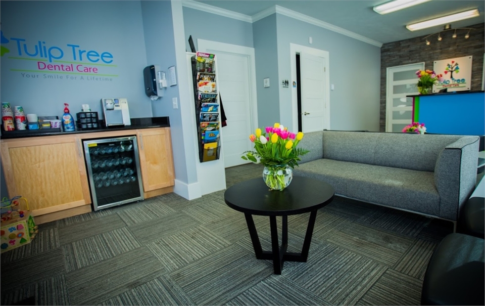 Waiting area at South Bend dentist Tulip Tree Dental Care