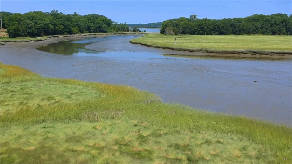 Osprey Overlook Park 12 minutes drive to the north of Aspire Dental Health of Weymouth