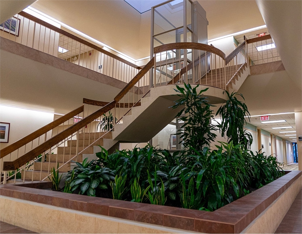 Winder staircase at Coral Springs dentist Wisdom Dental