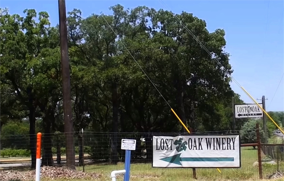 Lost Oak Winery at 5 minutes drive to the south of Anderson Orthodontics Burleson TX