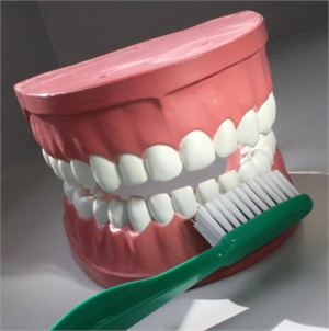 Charter brushing technique involves placing the toothbrush between the teeth and angled towards the crown. The brush is vibrated gently on the surface to clean dental plaque