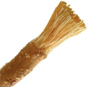 Miswak is a teeth cleaning twig made from the Salvadora persica tree. It is a traditional alternative to the modern toothbrush that is predominantly used in the Muslim inhabited areas.