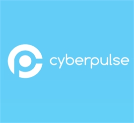 Cyberpulse Computing LTD