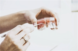 Dental model with dental arch and teeth
