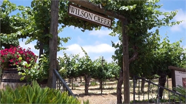 Wilson Creek Winery at 16 minutes to the east of Temecula Ridge Dentistry