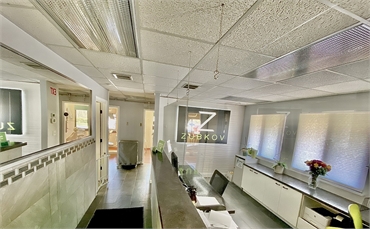 Reception area and checout office at Enfield dentist Zubkov Dental