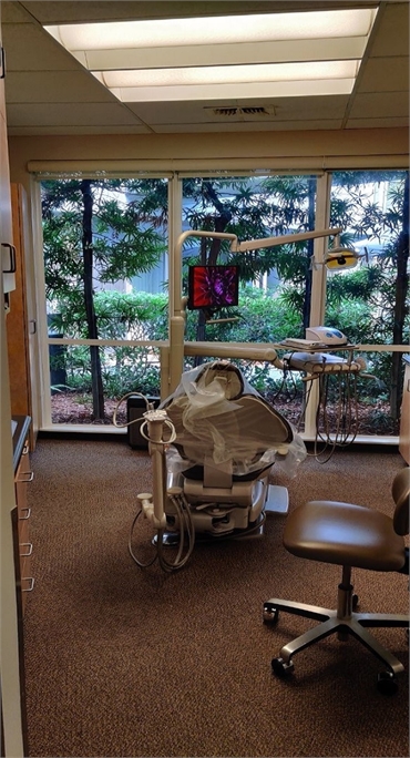 Great view outside  from the operatory at Menlo Park dentist Scott Hoffman DDS