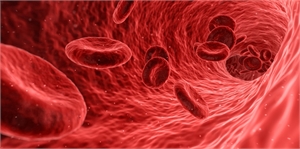 The Vital Importance Of Bloodborne Pathogen Training