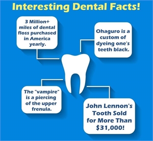 20 facts about teeth