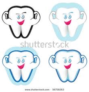 Different Types of Teeth