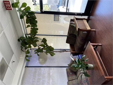 Waiting area at Simi Valley Sequoia Dentistry