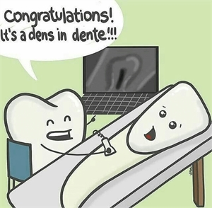 Dens in dente - dental joke